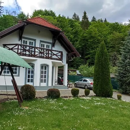 Casa Banucu Satu Mare (Harghita)